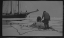 Image of Two men butchering walrus